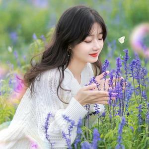 快乐的橘子 头像