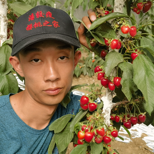 樱桃之家潘较瘦 头像