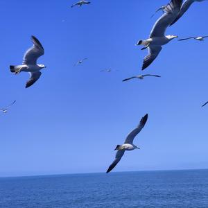 巷里畅快谈天的好友 头像