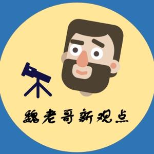 魏老哥的新观点 头像