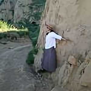 陕北村妹子石碾小米茶 头像