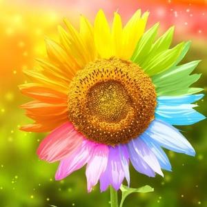 海哥修行笔记 头像