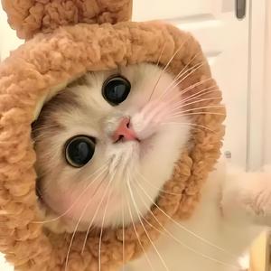 开朗小红花Fufb 头像