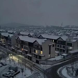 老铁观观看 头像