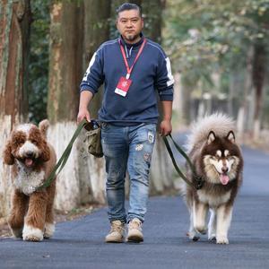 乐山狗班长训犬头像