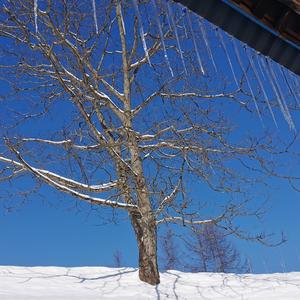 柚花爱娱乐 头像