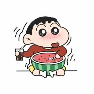 小熊纪录片 头像