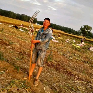 杞县面南瓜 头像