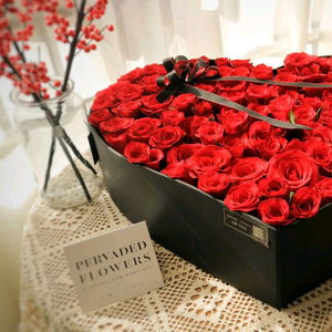 @中和农信—风歌 头像