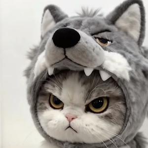 特姆供应链 头像