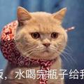 好好学习 头像