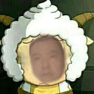 木子月月月月鸟 头像