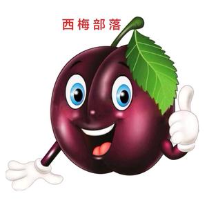西梅部落 头像