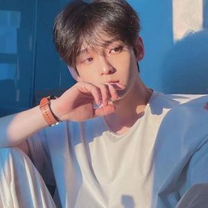 优雅枫叶Da 头像