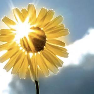 机器猫会魔法 头像