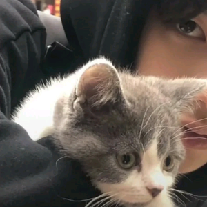 武汉店小白 头像