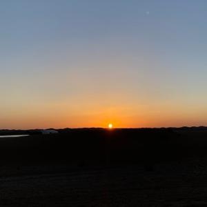 安逸雪梨A1 头像