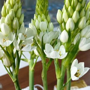 紫静爱分享 头像