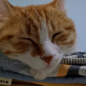 乐观的梦想ey 头像