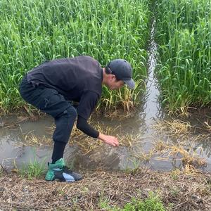 小南瓜户外（钓鳝）(11月23抽水抓鱼)头像