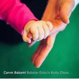 远见的生活家 头像