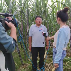 悠悠乡愁家庭农场头像