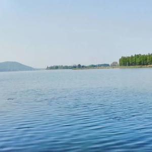 麦田里的追光者 头像