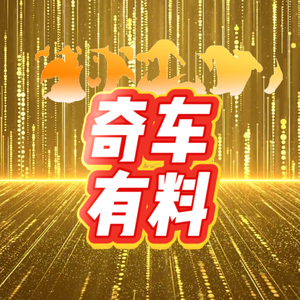 奇车有料 头像