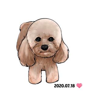 名宠家的毛孩子直播号2 头像