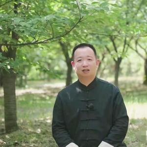 文喜可正 头像