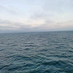 娱乐名人情报探索 头像