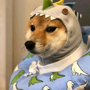 隔壁老王在煲汤呢 头像