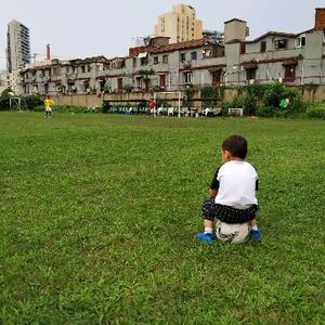 菠萝印象爱菠萝 头像