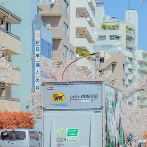 博学青涩奶酪 头像