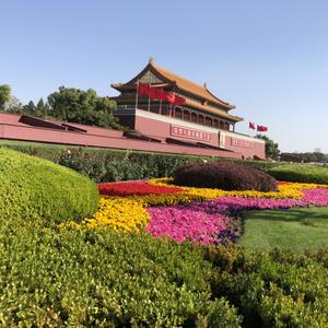 燕子的快乐时光 头像