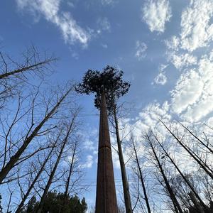 经济学小咖说 头像