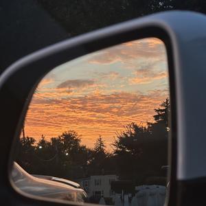 执着的鲸鱼 头像