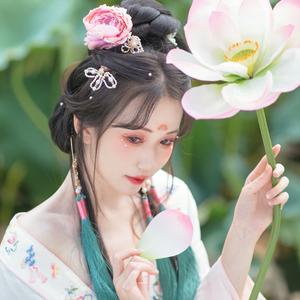 遥山书雁