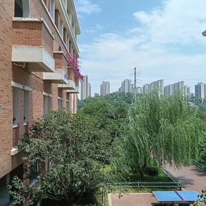 心心心相印 头像