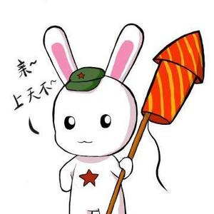 种花兔—随风 头像