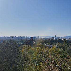 哈哈7584114 头像