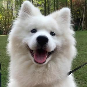 天天视野站 头像