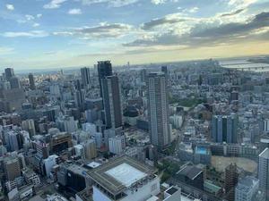 天黑啥也看不见 头像