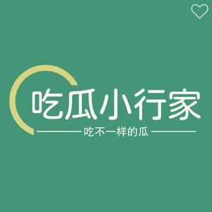 吃瓜小行家Cg 头像