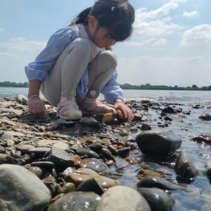 妍妈的宝宝辅食 头像