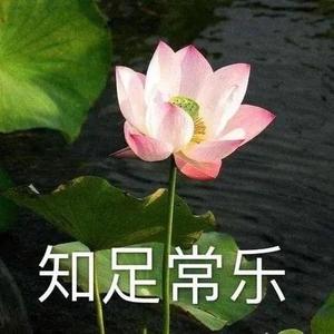 知情达理远山zl头像