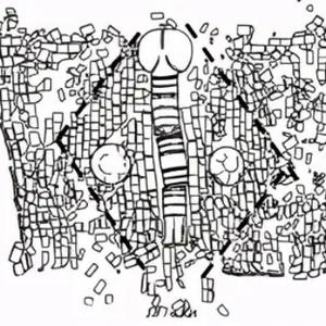 骠骑只看洛阳城 头像