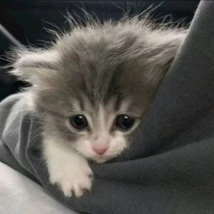 两性情感77 头像