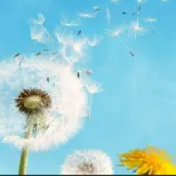 酷谷的谷子 头像