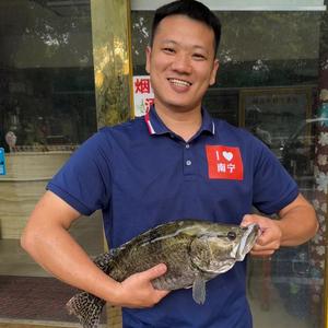 横县鱼生(山弟） 头像